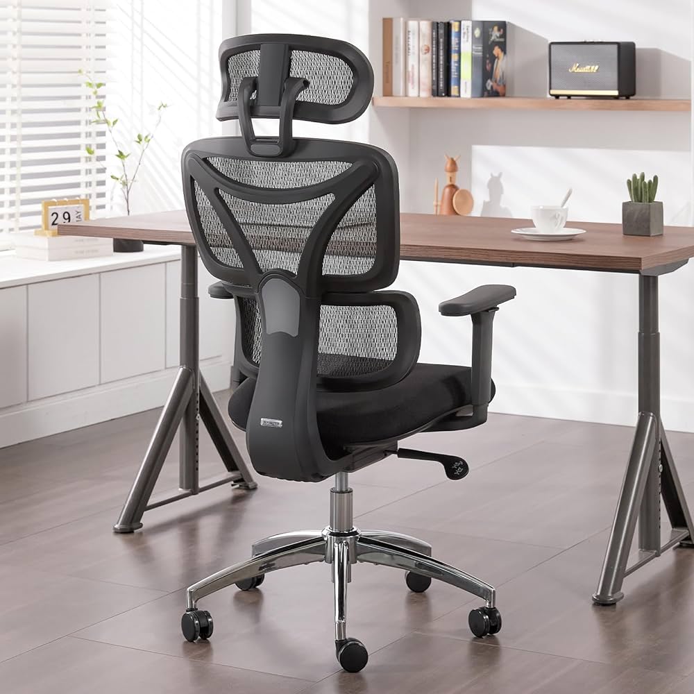 Ergonomic Office Chair in Business